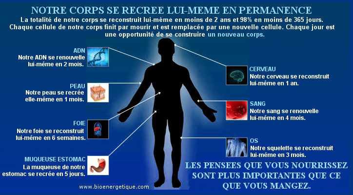 Bioenergetique notre corps se recree en permanence 724 op