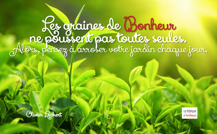 Graines de bonheur