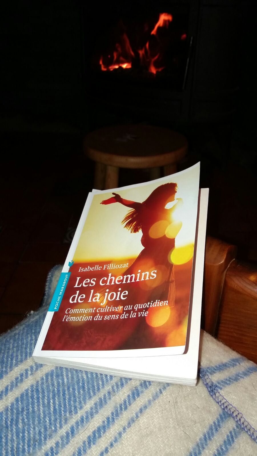 Les chemins de la joie - Isabelle Filliozat