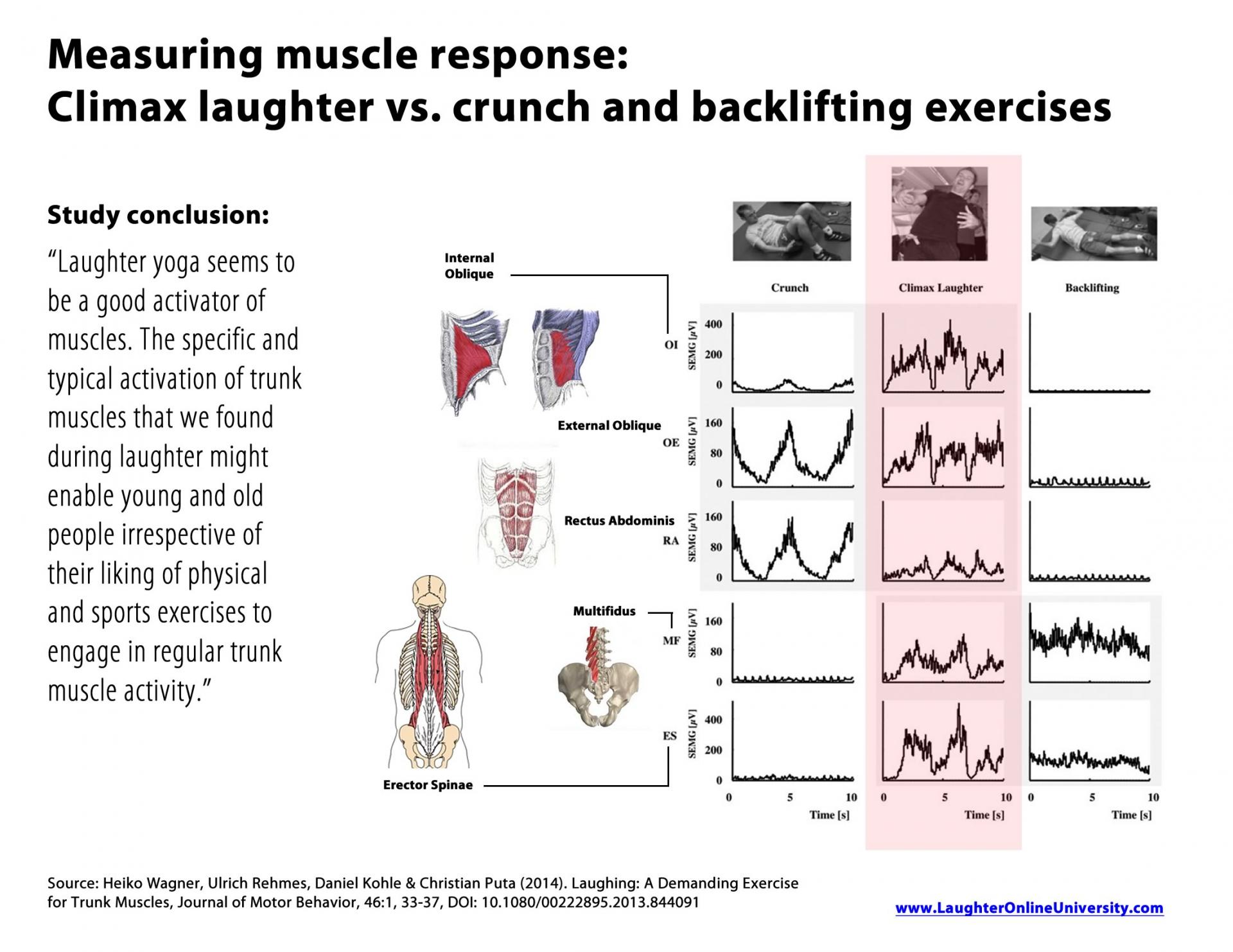 Laughter trunk muscles