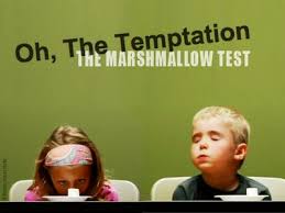 Marshmallow